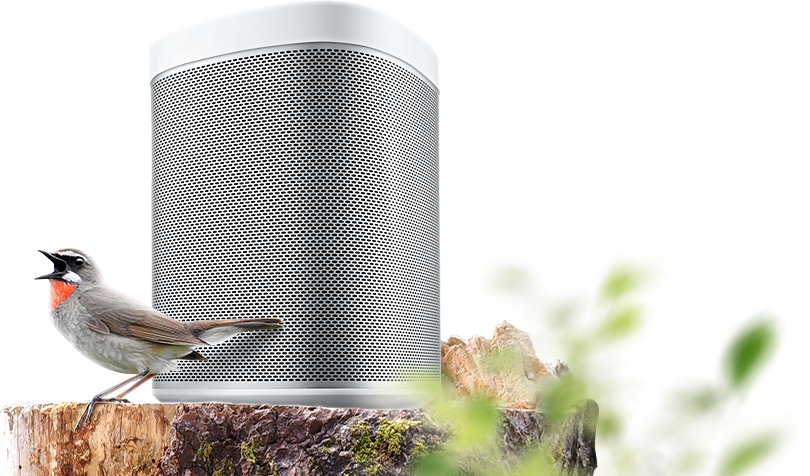 Реклама нового раздела прокладки